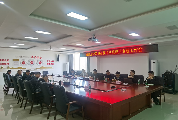 桩基快检_副本.jpg